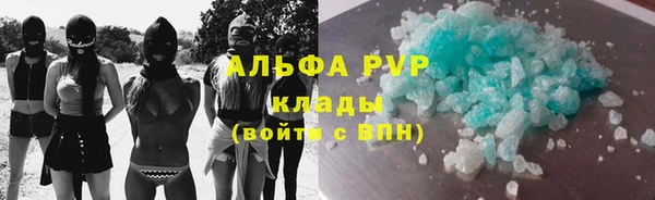 мдпв Новозыбков