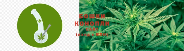 прущая мука Няндома
