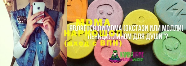 мдпв Новозыбков